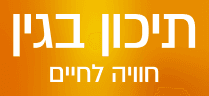 לוגו בגין
